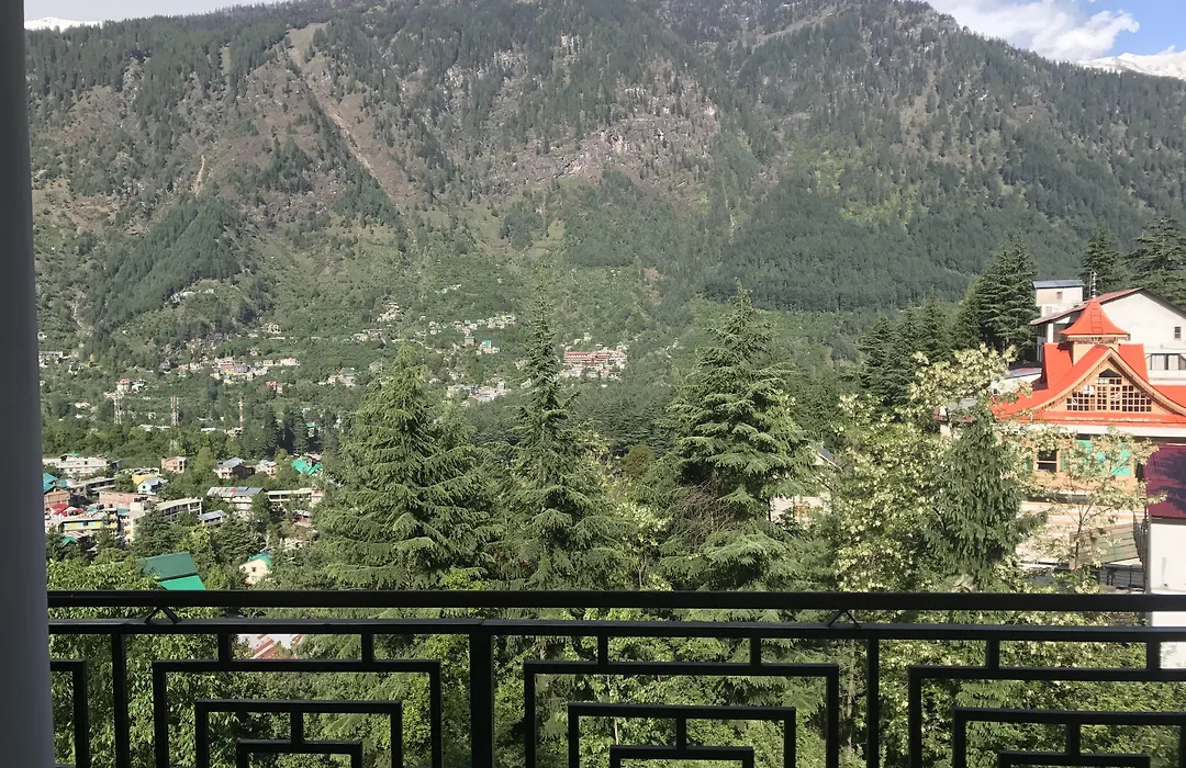 Backpacker Panda Manali-1